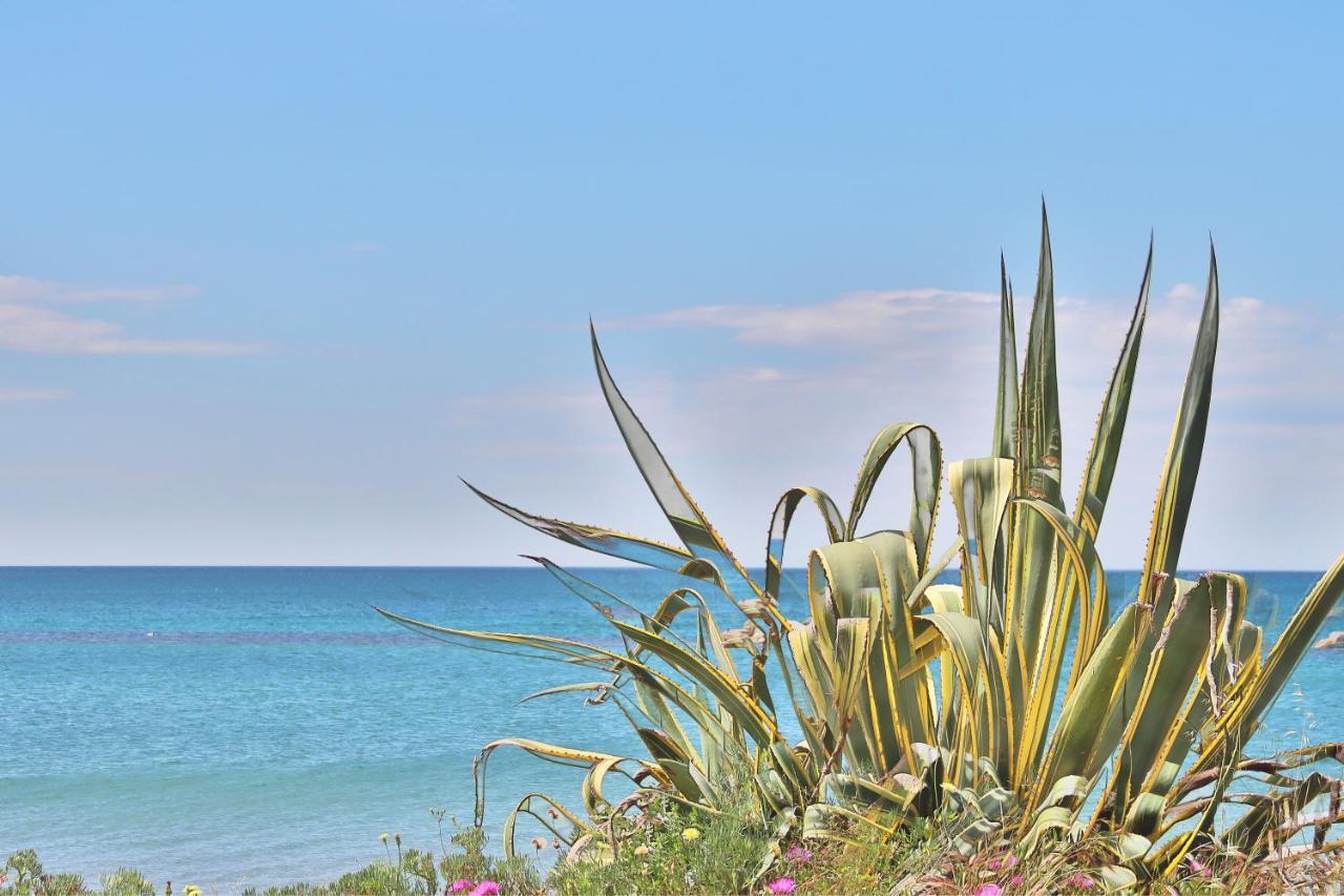 Holiday Home Arzilli Follonica Zewnętrze zdjęcie